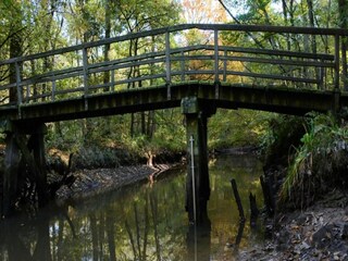 Ferienpark Roggel Umgebung 22