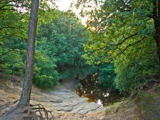 Vakantiepark Roggel Omgeving 24