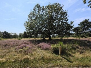 Vakantiepark Roggel Omgeving 25