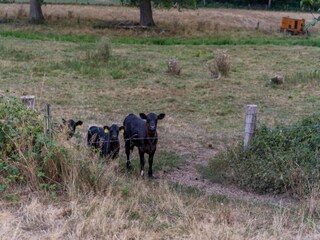 Ferienpark Roggel Umgebung 26