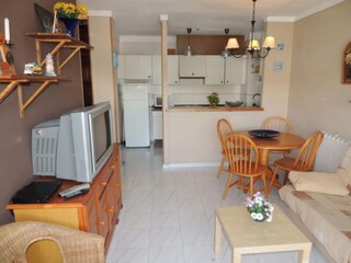 Apartment Roses  7