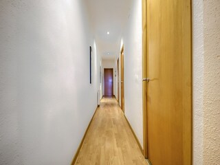 Apartment Roses  11