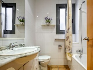 Apartment Roses  12