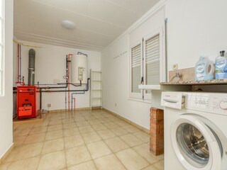 Apartment Roses  22