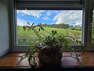 Holiday house Hastière Outdoor Recording 12