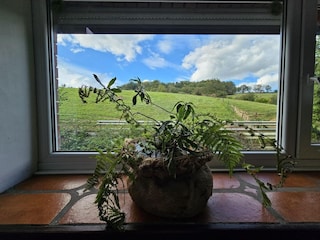 Maison de vacances Hastière Enregistrement extérieur 10