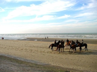 Apartment Blankenberge Environment 25