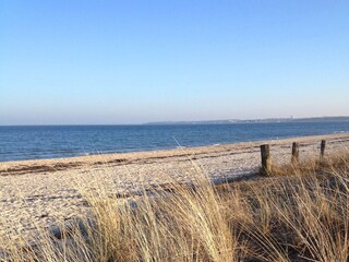 Der Winterstrand gehört den Wanderern!
