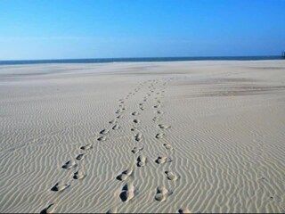 Appartamento Nieuwpoort Ambiente 22