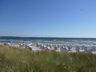 Scharbeutz's beach - fine sand, panoramic views