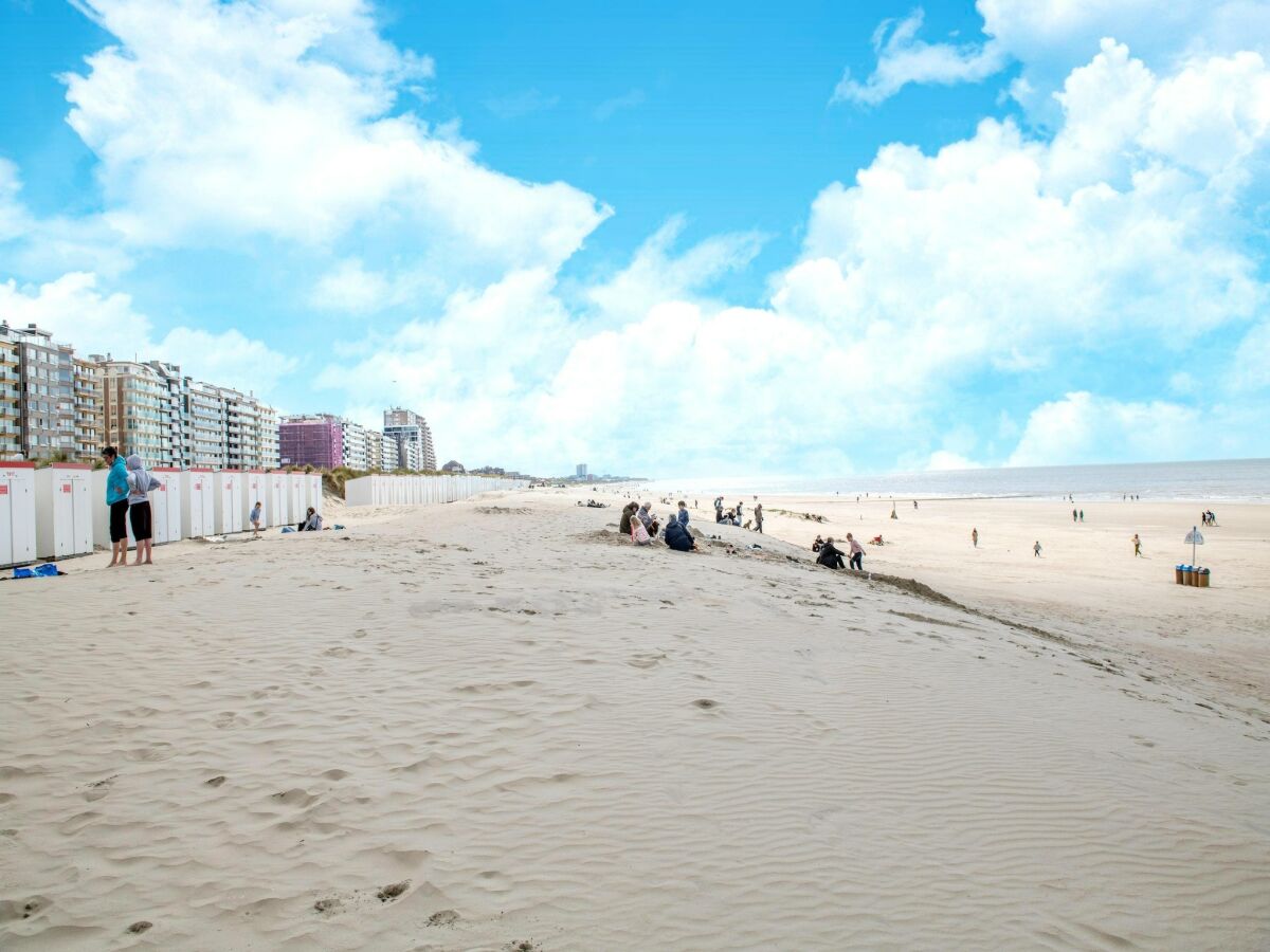 Apartment Nieuwpoort Umgebung 17