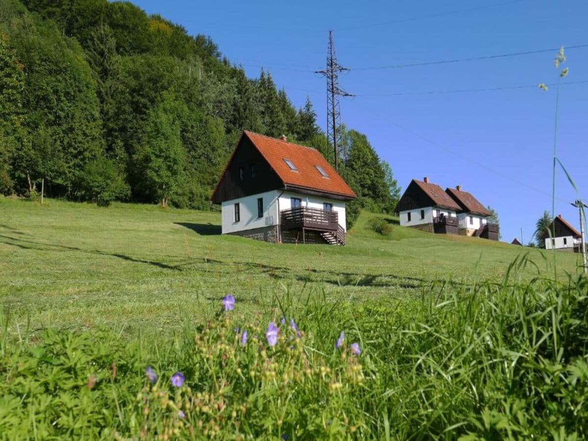 Ferienpark Starkov Außenaufnahme 12