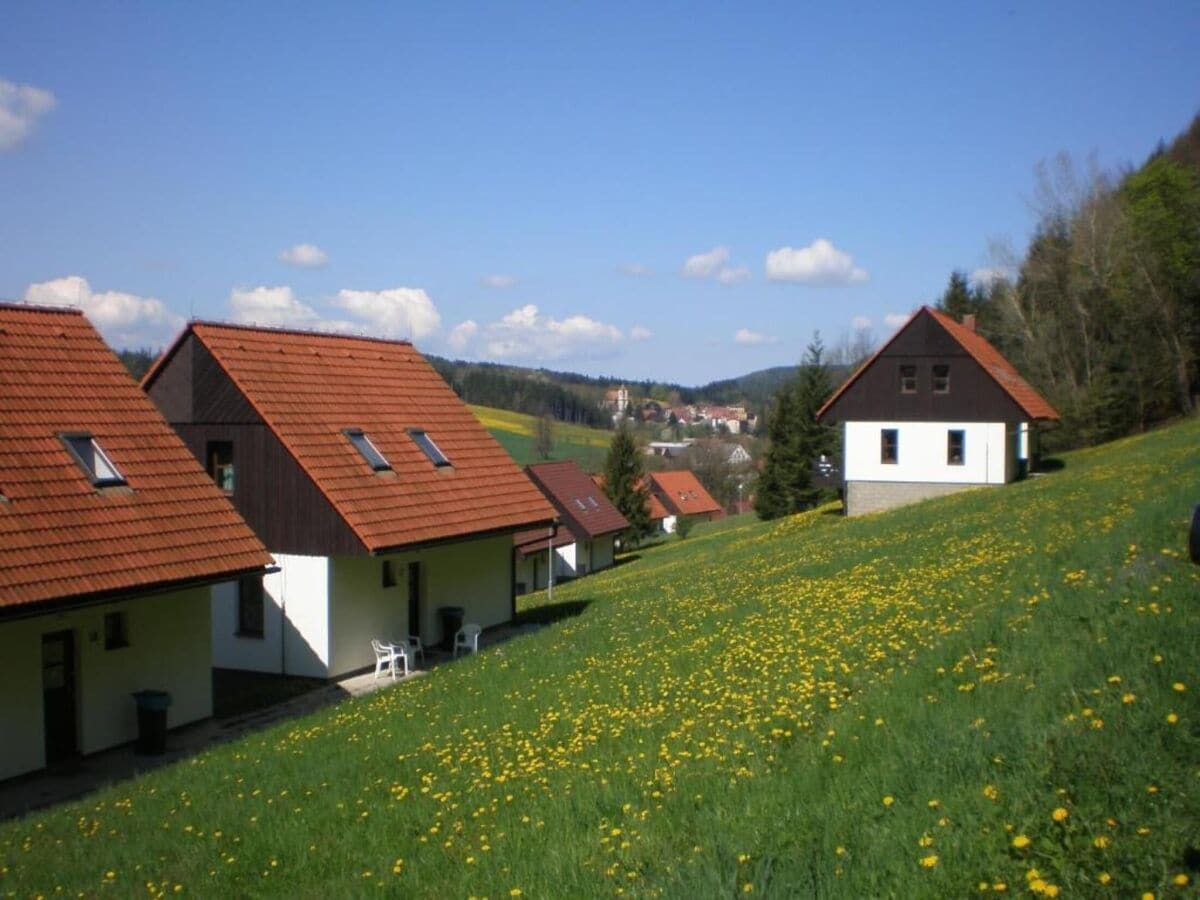 Ferienpark Starkov Außenaufnahme 14