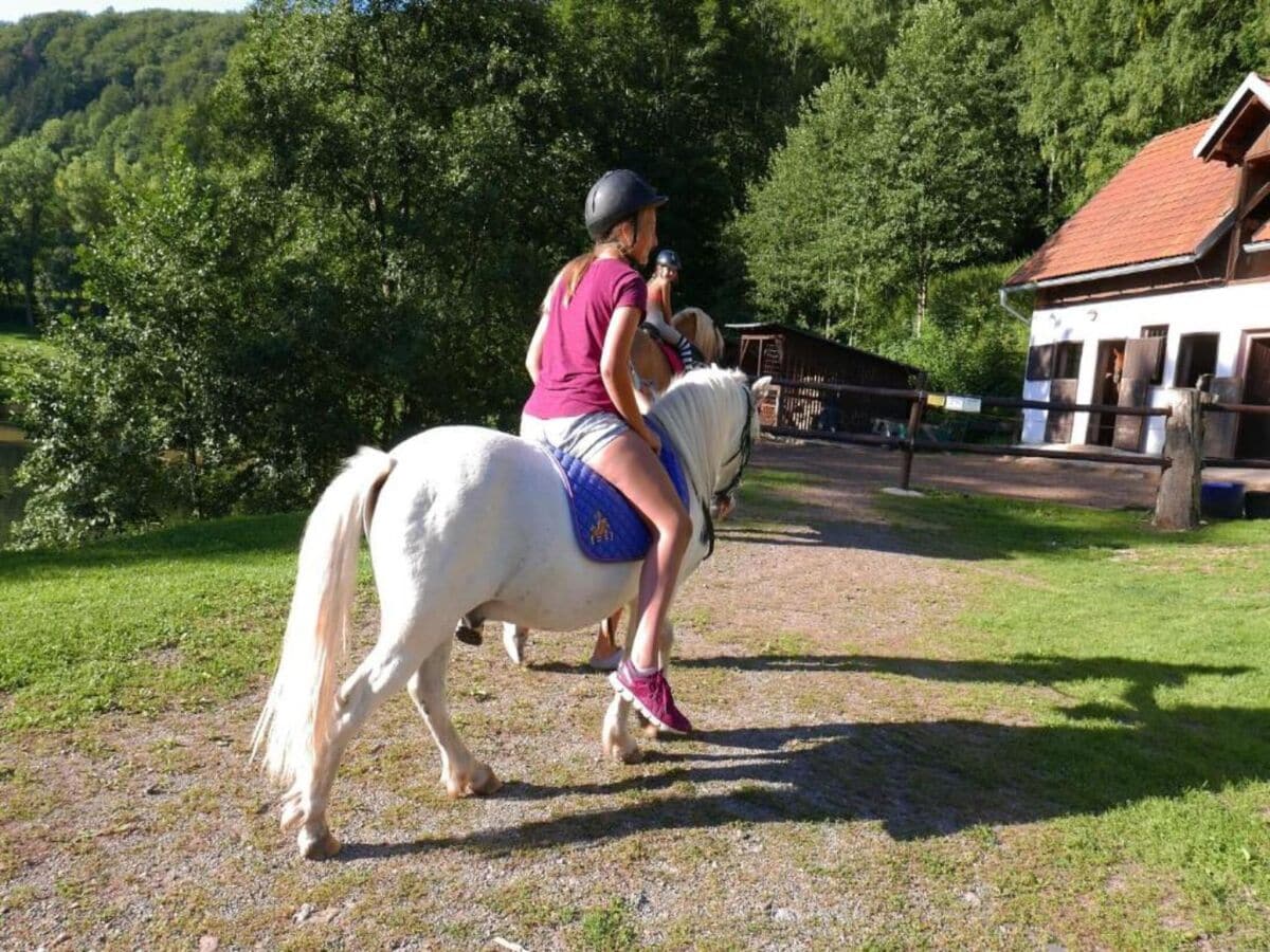 Ferienpark Starkov Außenaufnahme 17