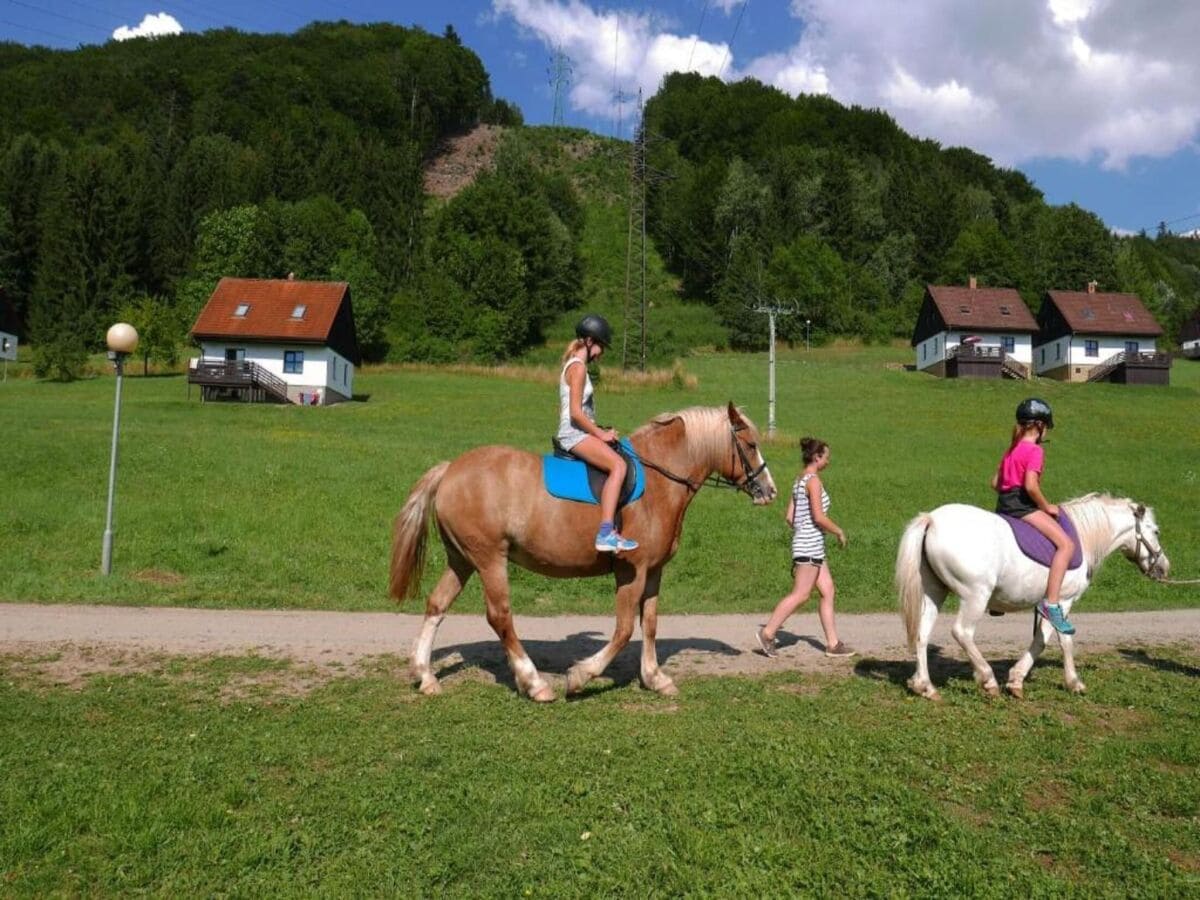 Ferienpark Starkov Außenaufnahme 20