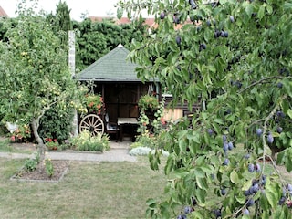Apartment Gägelow Außenaufnahme 9