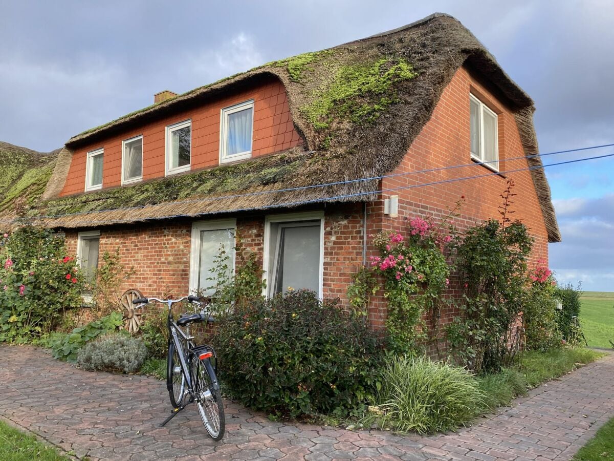 Ferienhaus Hallig Nordstrandischmoor Außenaufnahme 1