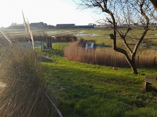 Ferienhaus Hallig Nordstrandischmoor Außenaufnahme 6
