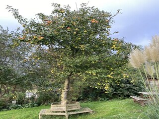 Vakantiehuis Hallig Nordstrandischmoor Buitenaudio-opname 5