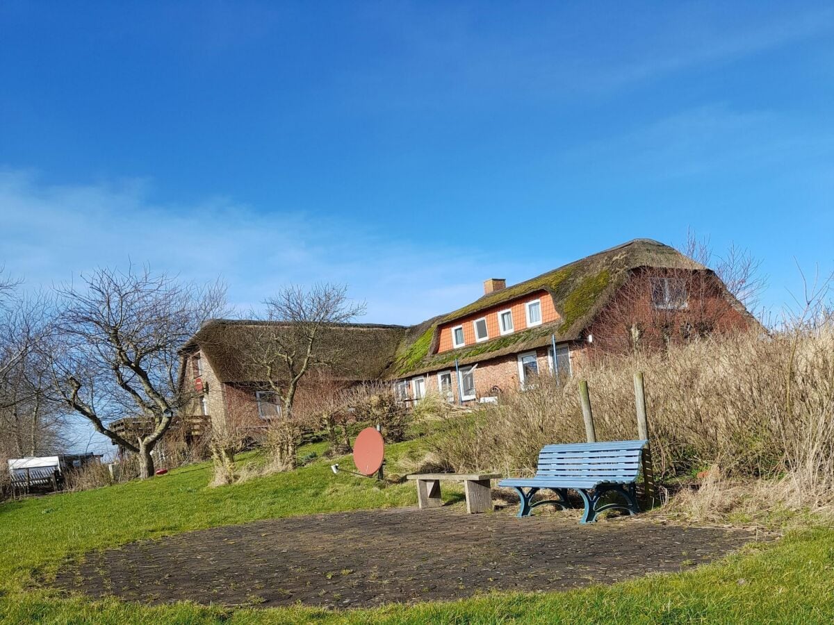 Ferienhaus Hallig Nordstrandischmoor Außenaufnahme 2