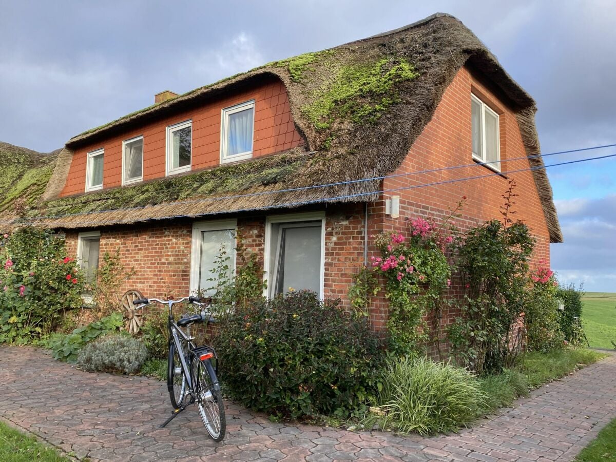 Ferienhaus Hallig Nordstrandischmoor Außenaufnahme 1