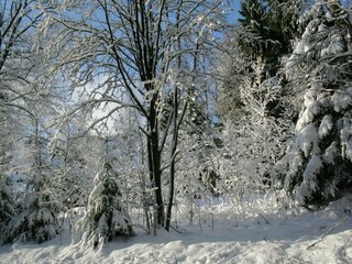 Vakantiehuis Stadlern Omgeving 34