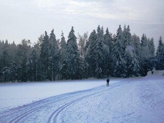 Vakantiehuis Stadlern Omgeving 35