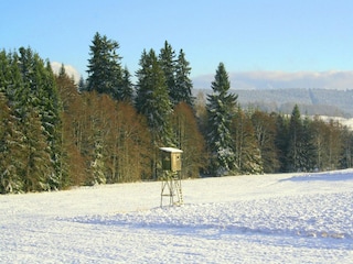 Ferienhaus Stadlern Umgebung 32