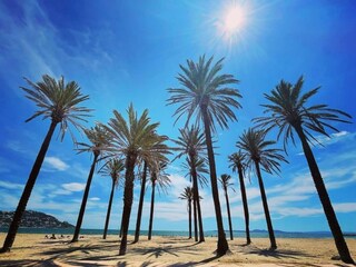 Apartamento Palau-Saverdera  42