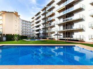 Apartment Roses  28