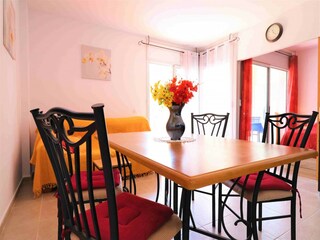 Apartment Roses  10