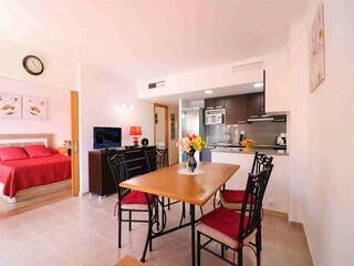 Apartment Roses  6