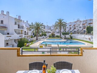 Apartment Roses  21