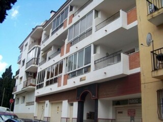 Apartment Roses  8