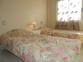 Apartment Roses  9