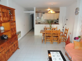 Apartment Roses  9