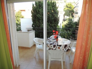 Apartment Roses  21