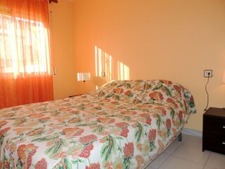 Apartment Roses  12
