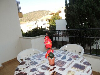 Apartment Roses  24