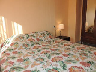 Apartment Roses  20
