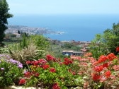 Blick auf Puerto de la Cruz