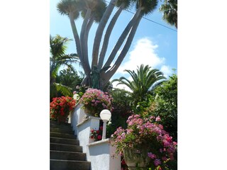 Vakantieappartement Santa Ursula Buitenaudio-opname 3