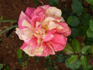 Vakantieappartement Santa Ursula Buitenaudio-opname 5