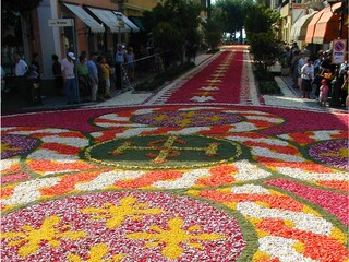 Appartamento Diano Marina Ambiente 5