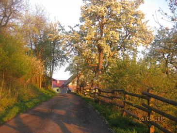 Ferienwohnung Nüse 2