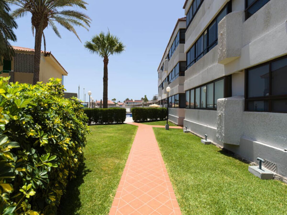 Apartment San Agustin (Gran Canaria)  59