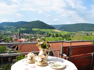 Holiday apartment Baiersbronn Outdoor Recording 7