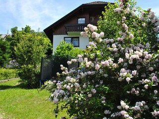 Holiday apartment Baiersbronn Outdoor Recording 8
