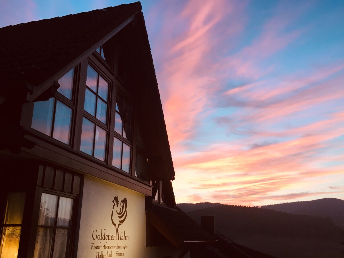 Holiday Apartment Superior Appartement Goldender Hahn Baiersbronn