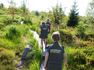 Holiday apartment Baiersbronn Environment 38